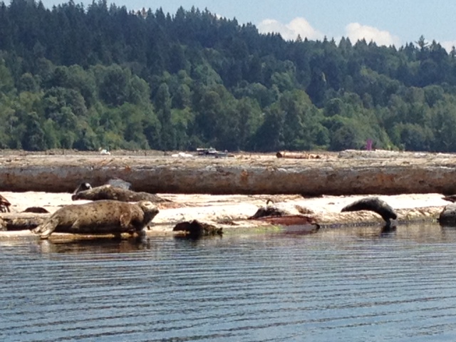 Kayaking, Summer 2013